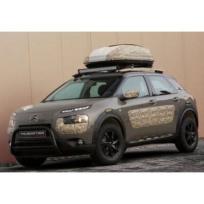 C4 Cactus von Musketier