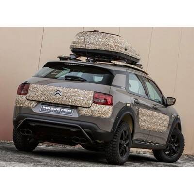 C4 Cactus von Musketier