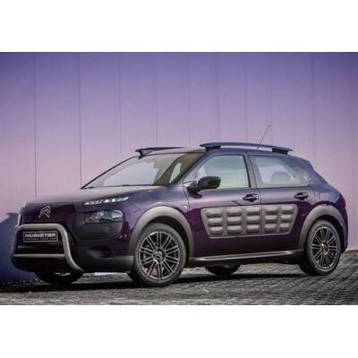 C4 Cactus von Musketier