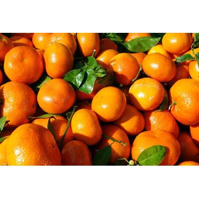 Müde sein und frieren geht gar nicht