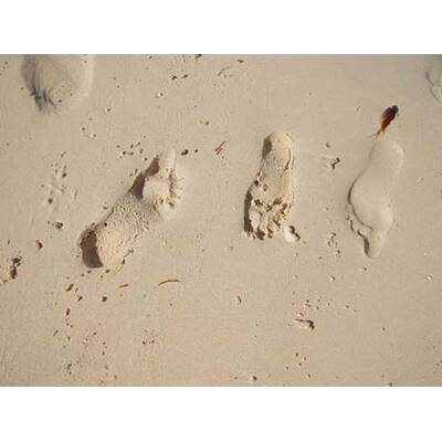 Alle lustigen Urlaubsfotos