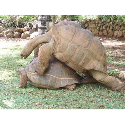 Alle lustigen Urlaubsfotos