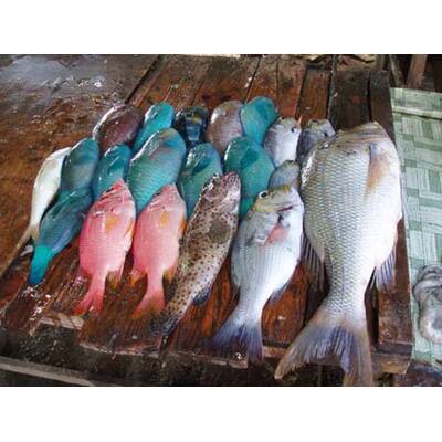 Die besten Urlaubsfotos