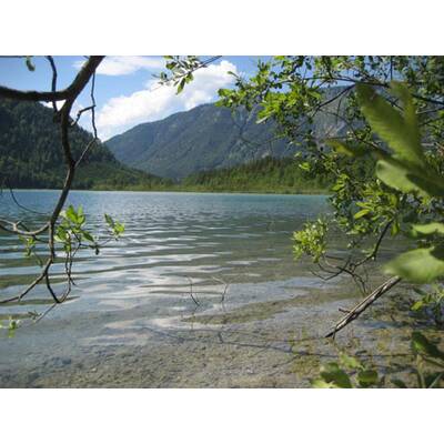 Das schönste Österreich-Bild