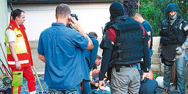 Cobra &uuml;berw&auml;ltigte Familien-Tyrannen (50)