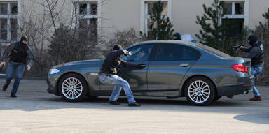 Cobra: 10.000 Eins&auml;tze im Jahr 2014