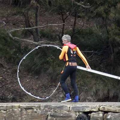 Wal-Baby Colin musste eingeschläfert werden