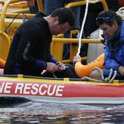 Wal-Baby Colin musste eingeschläfert werden