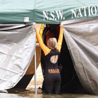 Wal-Baby Colin musste eingeschläfert werden