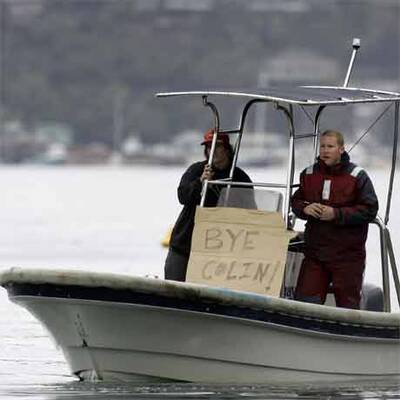 Wal-Baby Colin musste eingeschläfert werden