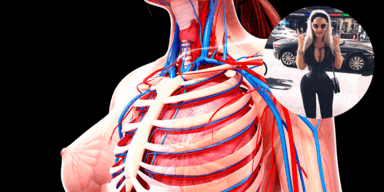 Rippen Sophia Wollersheim