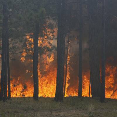 Heftige Waldbrände wüten in Colorado