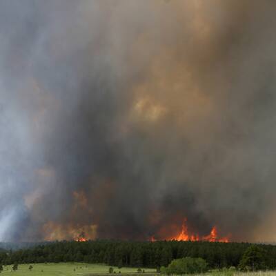 Heftige Waldbrände wüten in Colorado