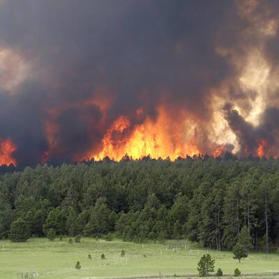 Heftige Waldbrände wüten in Colorado