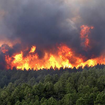 Heftige Waldbrände wüten in Colorado