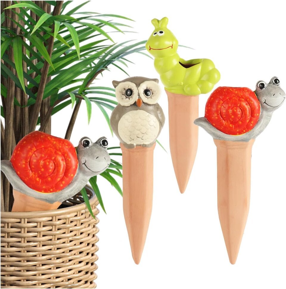 Lifehack: Darum sollten Sie Ihre Zimmerpflanzen mit Salzwasser gießen