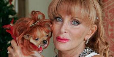 Hund erbt Diamanten und Millionen