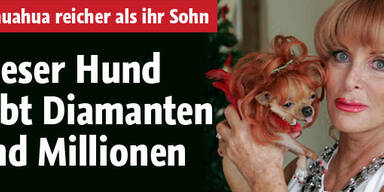 Hund erbt Diamanten und Millionen