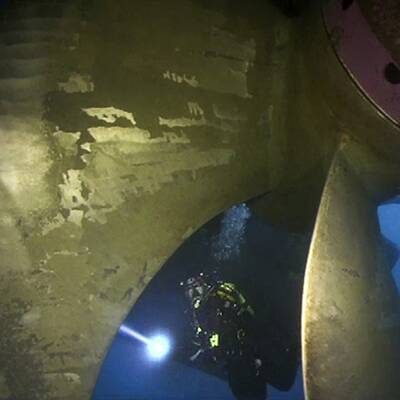 Neue Unterwasseraufnahmen der Concordia