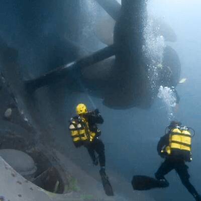 Neue Unterwasseraufnahmen der Concordia