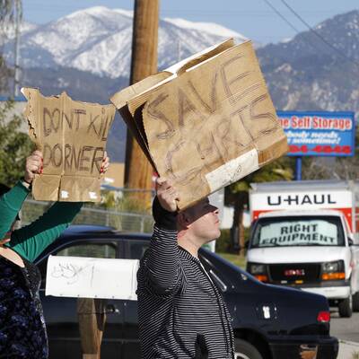 US-Polizei jagt Cop-Killer