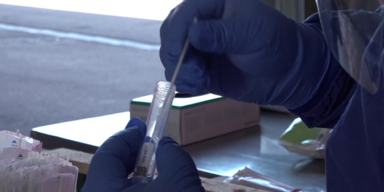 corona rekordwerte salzburg