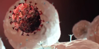 Virus animiert
