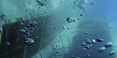 Taucher finden weitere fünf Leichen 