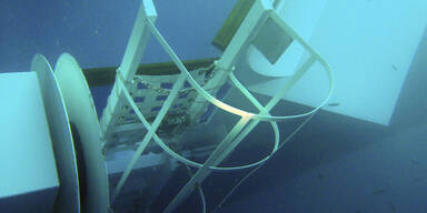 Taucher finden weitere fünf Leichen 