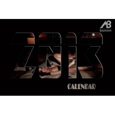 Manfred Baumann:Fine Nude Art Kalender 2013