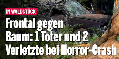 Frontal gegen Baum: Ein Toter und zwei Verletzte bei Horror-Crash