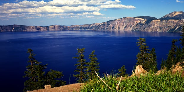 Dieser Baumstumpf treibt seit 120 Jahren aufrecht im Wasser