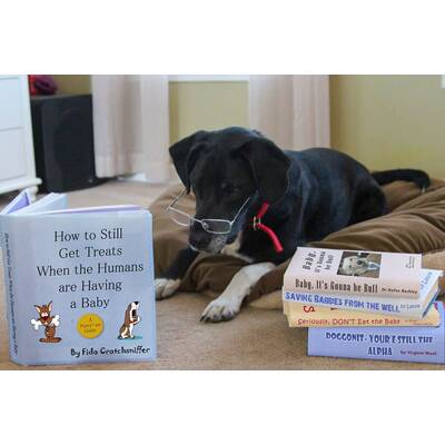 So witzig können Schwangerschafts-Nachrichten sein!