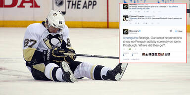 TV-Sender trollt Pittsburgh Penguins