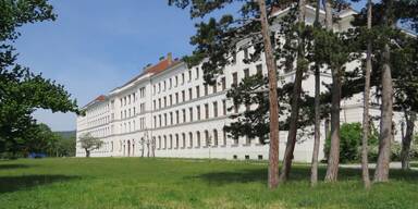 N&Ouml; gegen Obsorge-Gesetz f&uuml;r Fl&uuml;chtlingskinder