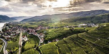 Vinea Wachau l&auml;dt zum Weinfr&uuml;hling und zur Steinfedernacht