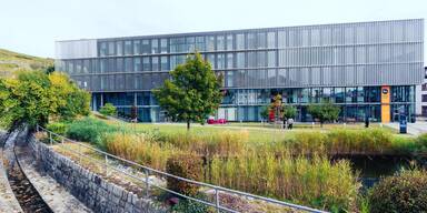 Kooperation zwischen Forschung und Pflege