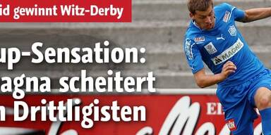 Wiener Neustadt scheitert an Dornbirn