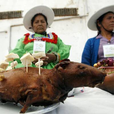 Anden-Meerschweinchen als Delikatesse