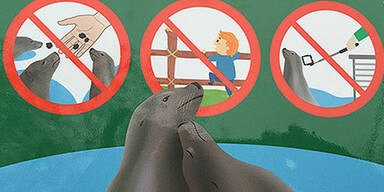 Selfiestick verboten