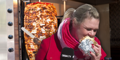döner test.png