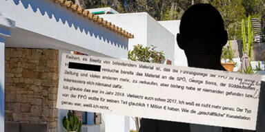 Ibiza-Zeuge: 'Der Typ von der FP&Ouml; wollte eine Million'