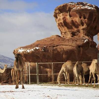 Schnee in der Wüste von Saudi Arabien