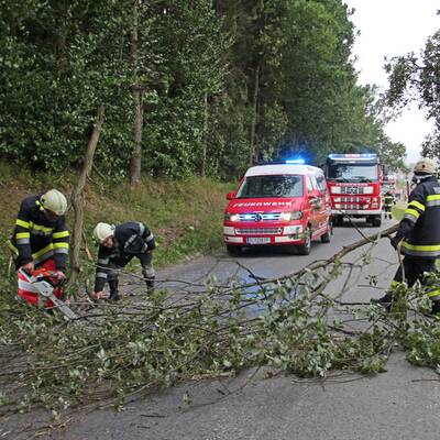 Sturmschäden in NÖ, Steiermark, Burgenland