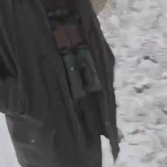 Jäger erschoss Border Collie.