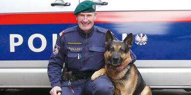 Hund "Hero" rettet Omas Verm&ouml;gen