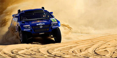 Jagd auf Wüstenfuchs Alphand