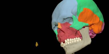 Blur-Frontmann Damon Albarn auf Solopfaden