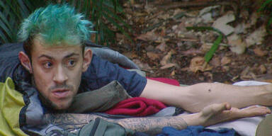 Daniele Negroni Dschungel