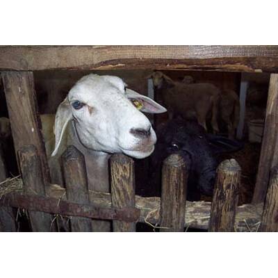 Die besten Urlaubsfotos